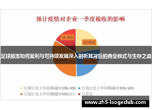 足球部落如何盈利与可持续发展深入剖析其背后的商业模式与生存之道