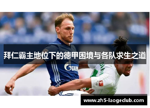 拜仁霸主地位下的德甲困境与各队求生之道