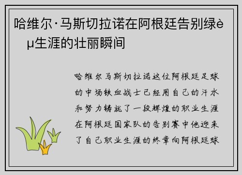 哈维尔·马斯切拉诺在阿根廷告别绿茵生涯的壮丽瞬间 哈维尔·马斯切拉诺在阿根廷告别绿茵生涯的壮丽瞬间