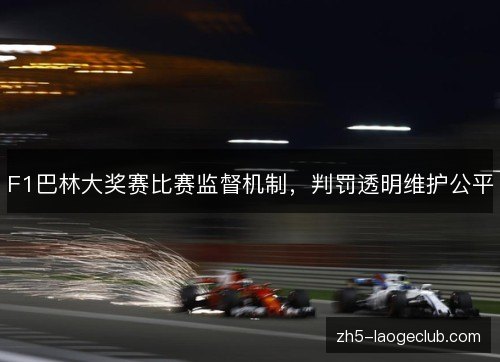 F1巴林大奖赛比赛监督机制,判罚透明维护公平 F1巴林大奖赛比赛监督机制,判罚透明维护公平